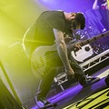 Click to enlarge GutterPunk - Professional Concert Photography